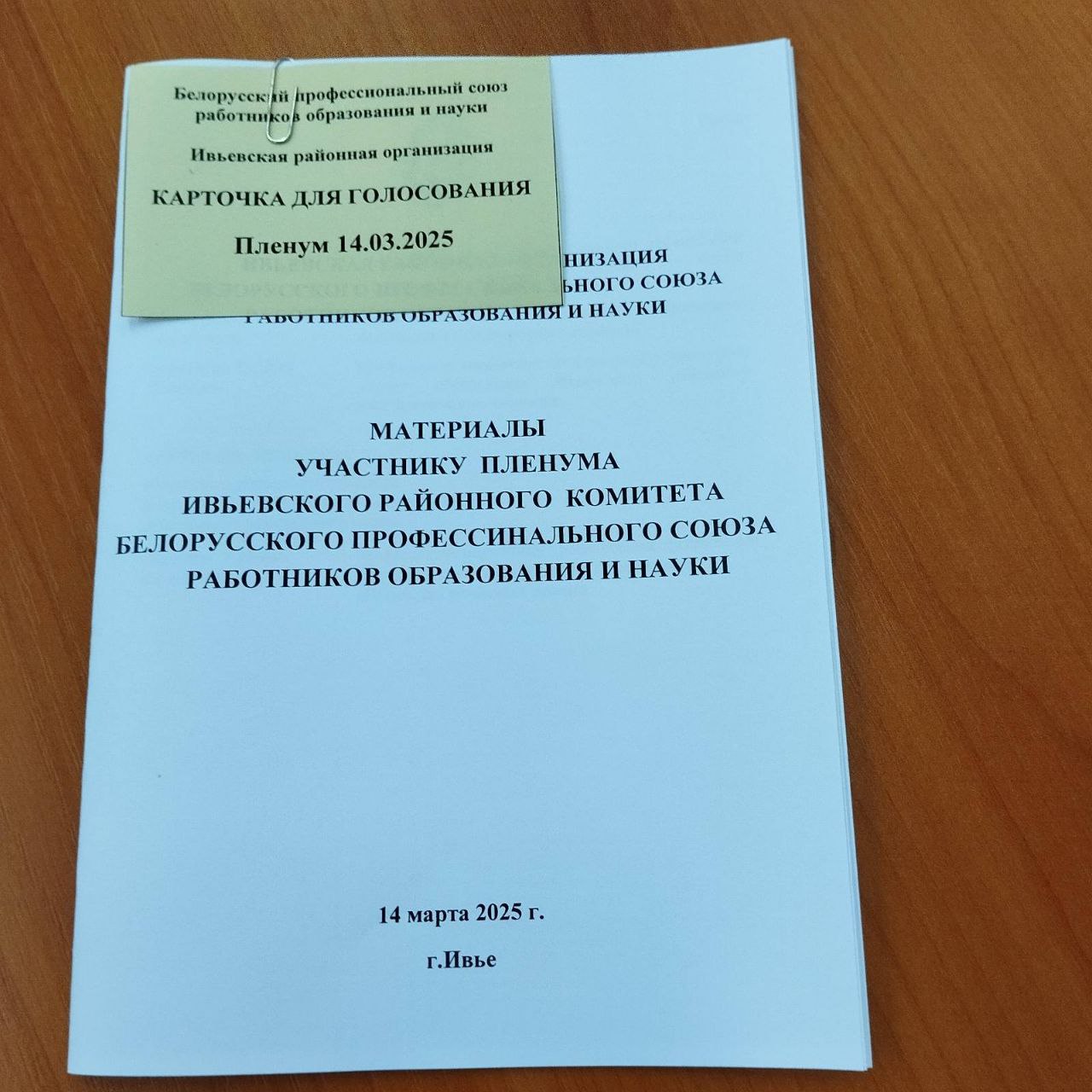 photo 5377475754297781618 y