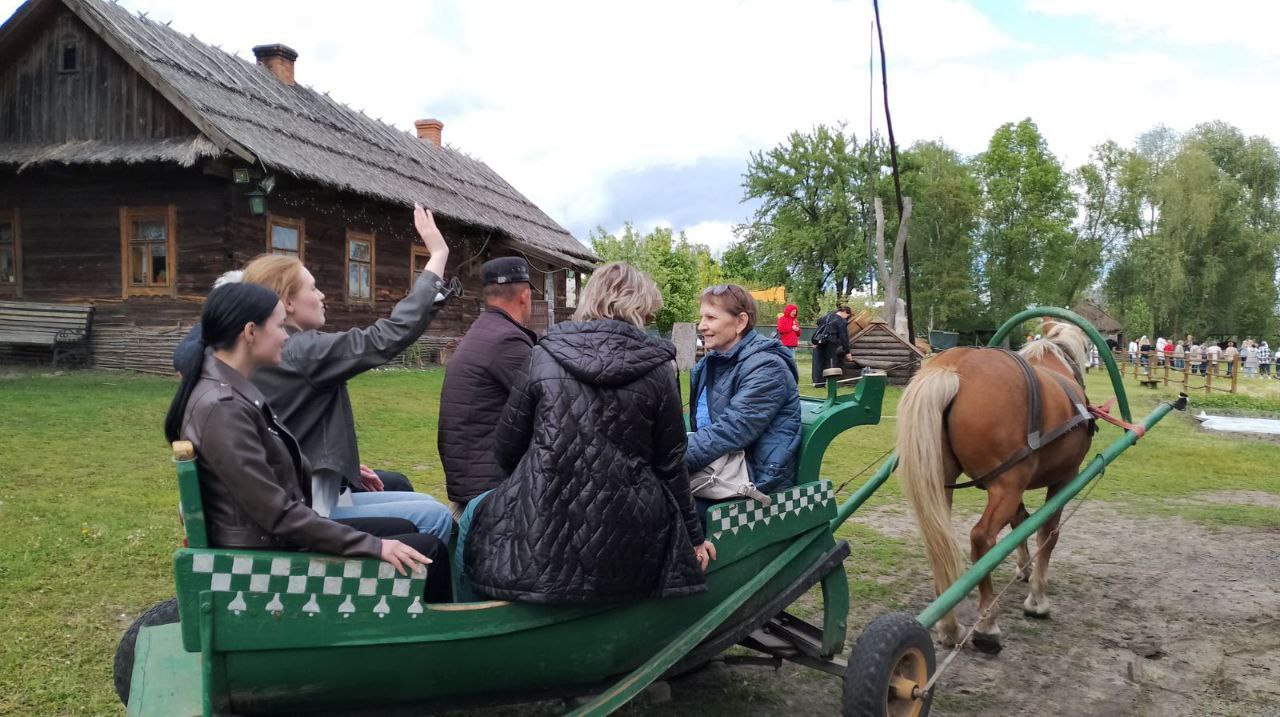 photo 5294482894351365979 y