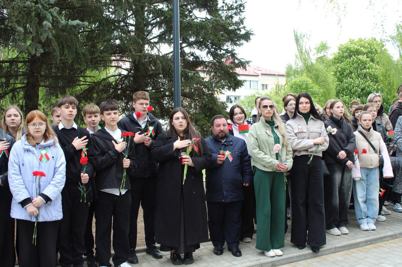 photo 5253554359986418535 y