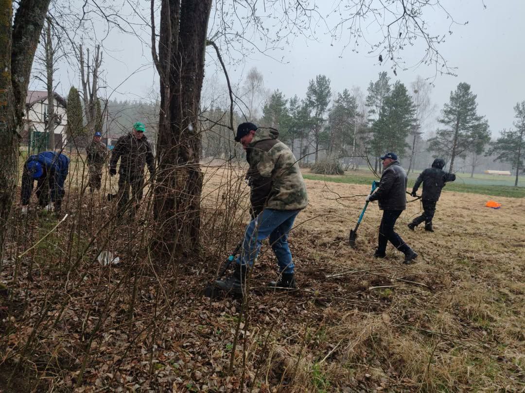 photo 5443078390446942974 y