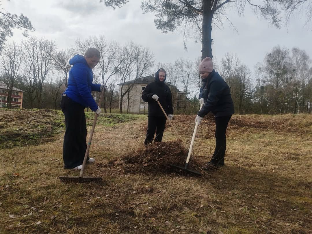 photo 5443078390446942975 y