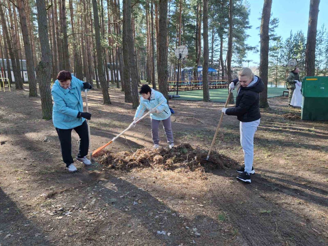 photo 5462975981791868008 y