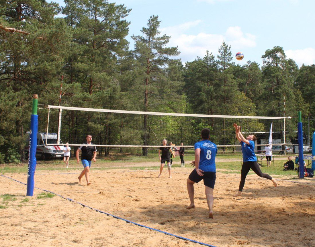 photo 5332412510751552308 y