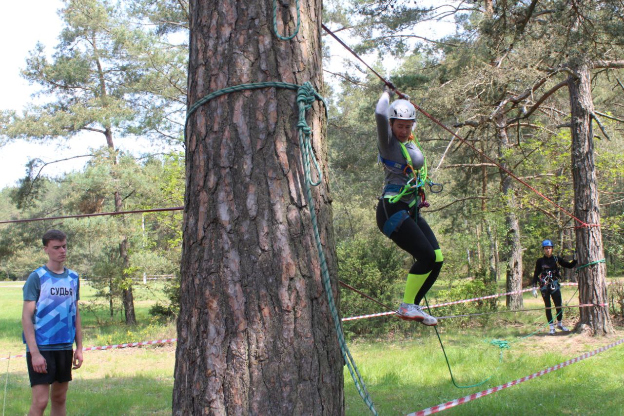 photo 5332412510751552885 y