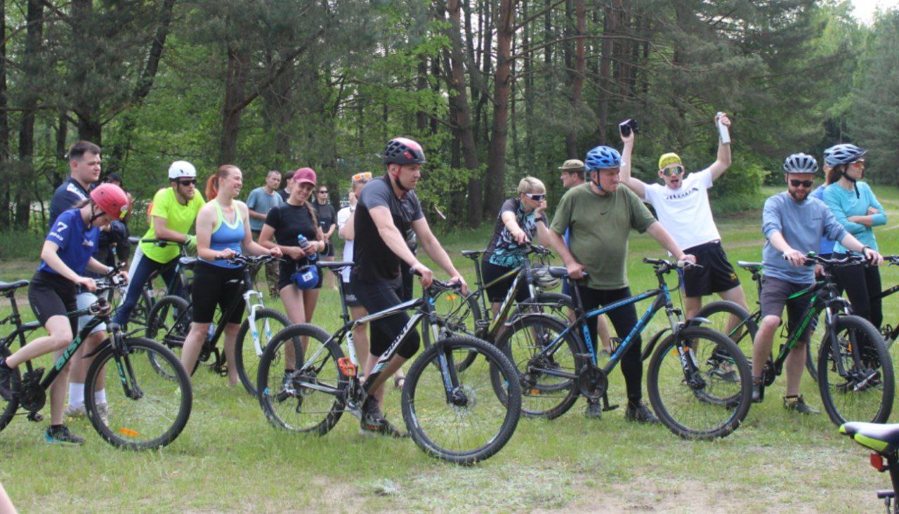 photo 5332412510751553531 y