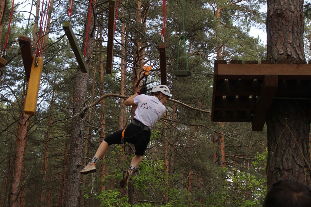 photo 5332412510751553532 y