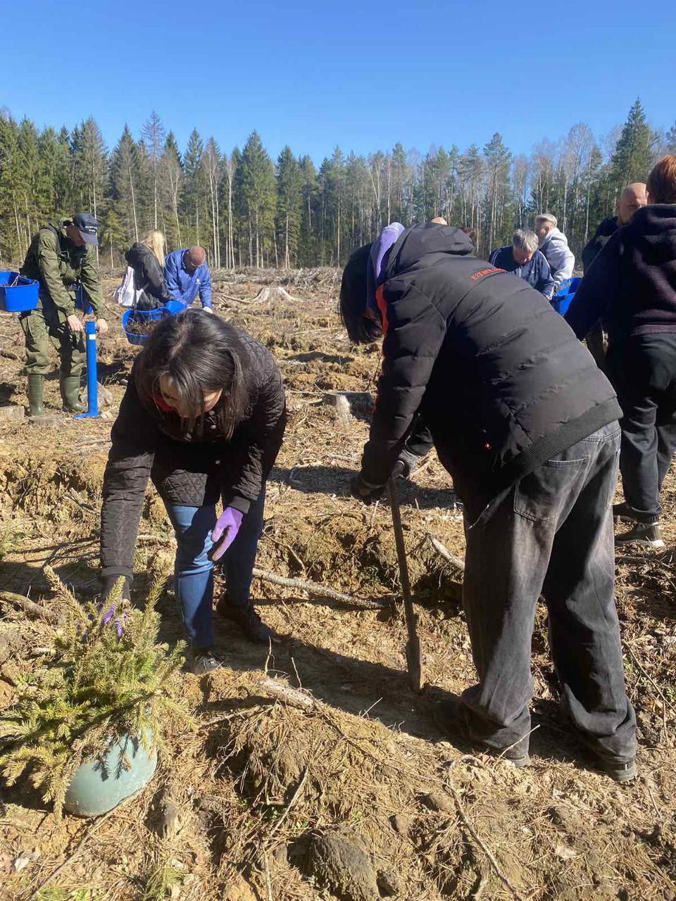 photo 5422710156585726232 y