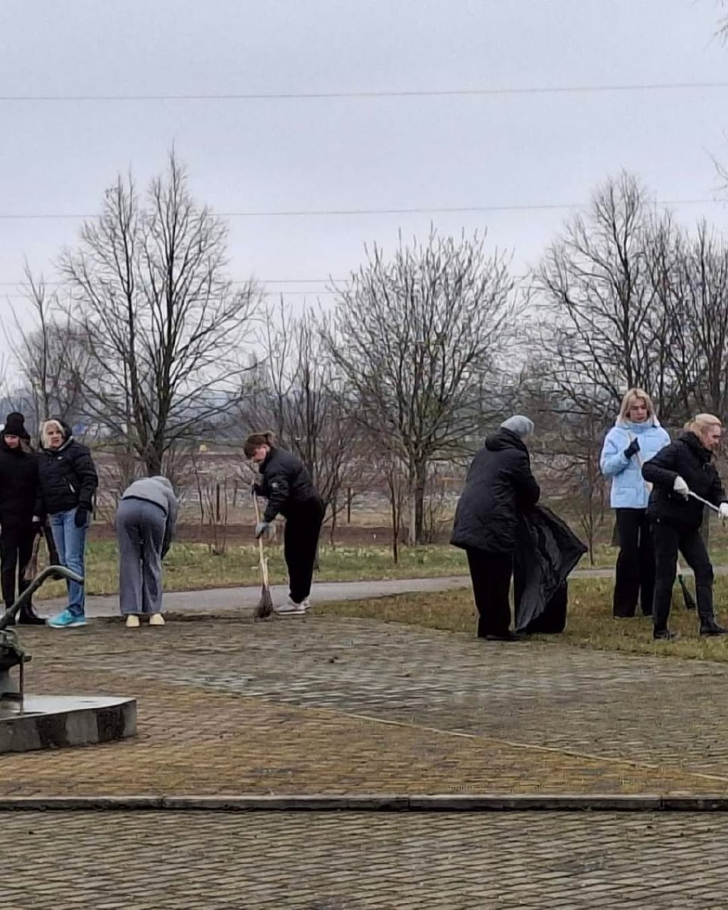 photo 5204366487547145932 y