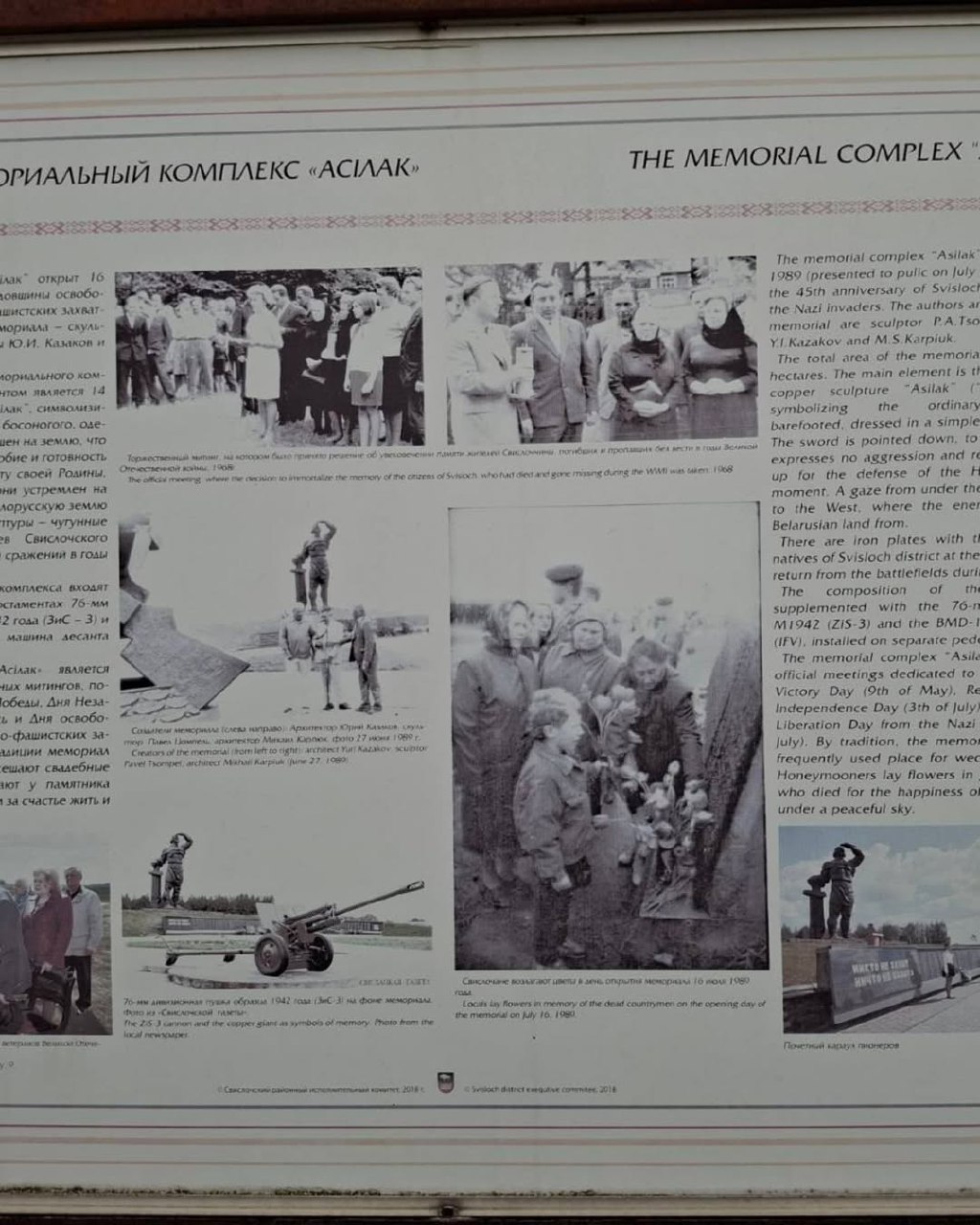 photo 5204366487547145933 y